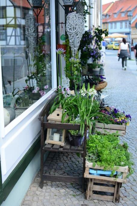 Schoene Ferienwohnung Mit Zwei Schlafzimmern Quedlinburg Esterno foto